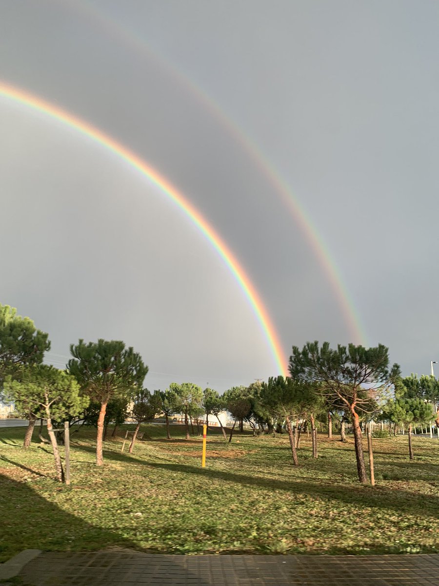 _ladeloslibros_'s tweet photo. ☔️🌈 https://t.co/oRzGD8b905