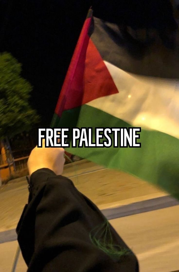 Pop Gemy tweet media