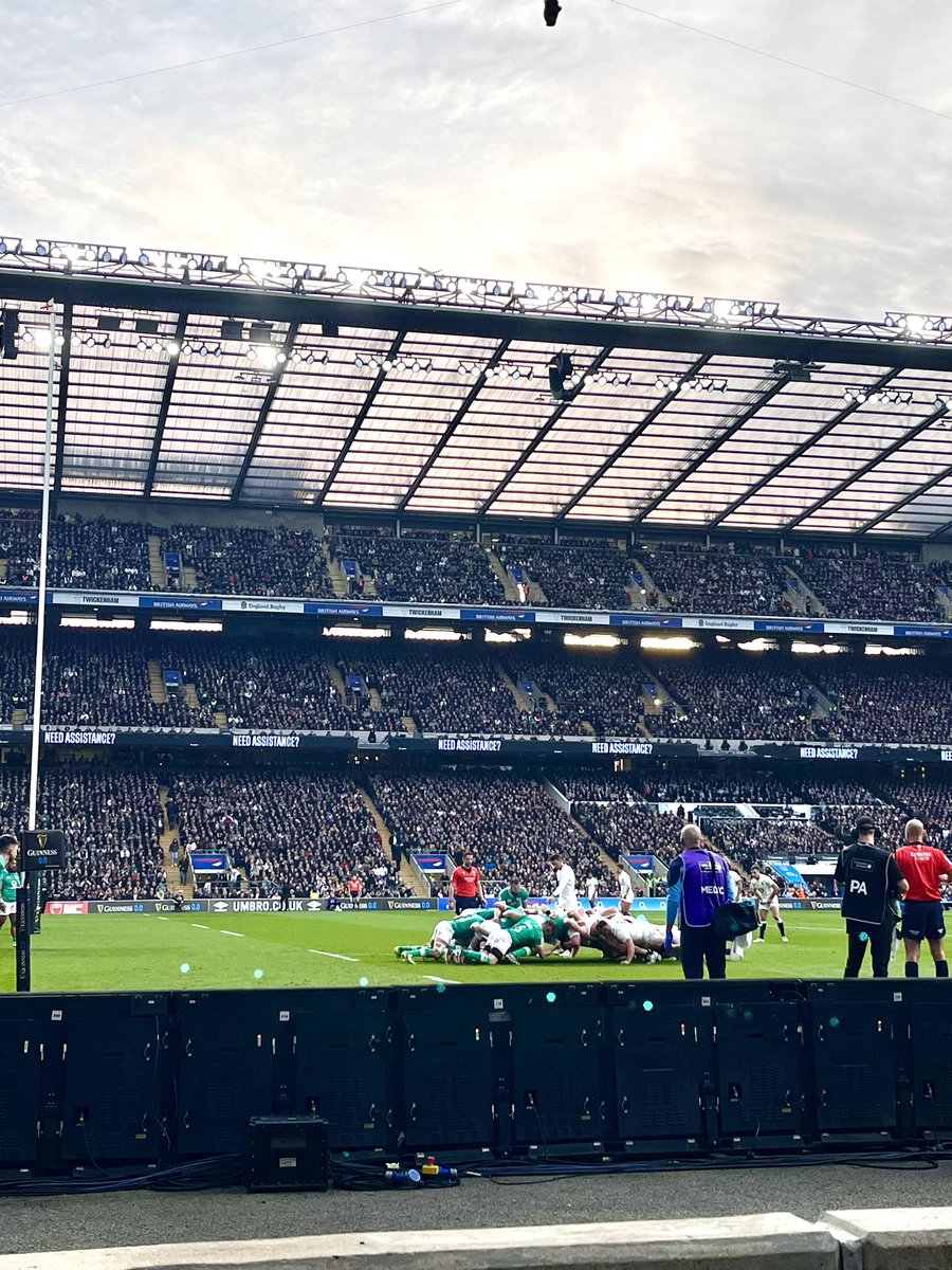 Elly White tweet media