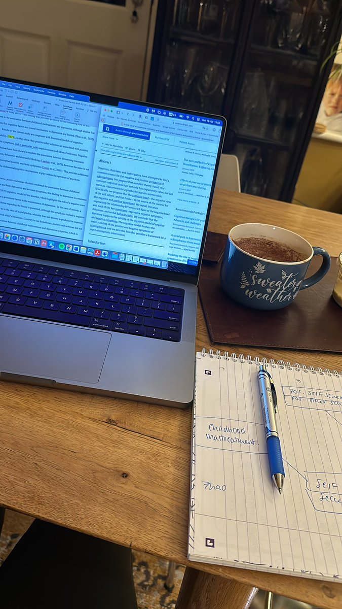 Weekend PhD 🧠😶‍🌫️🤓😴