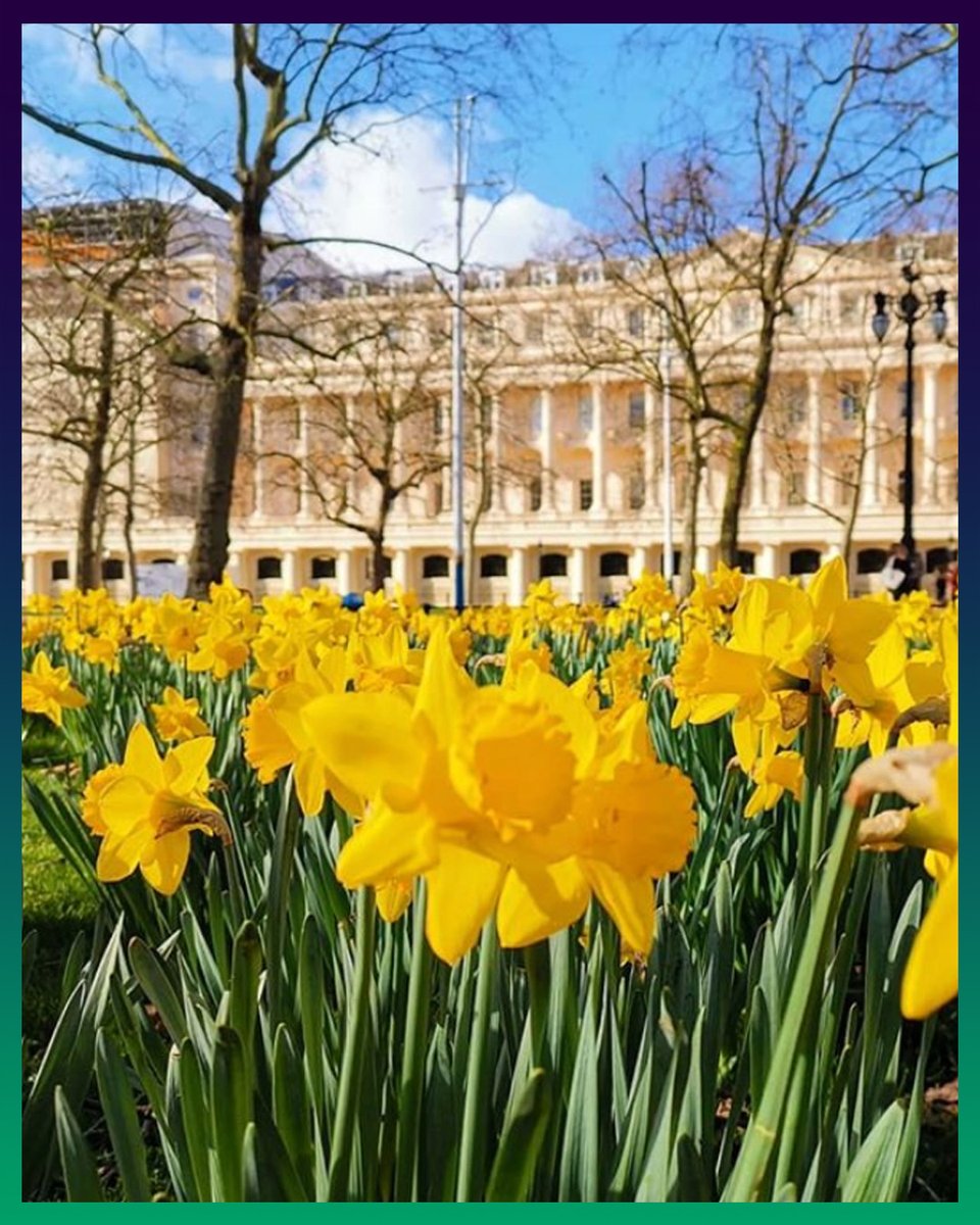 Happy Mother's Day from all of us at spikizi.
We hope you have enjoyed seeing the daffodils bloom as much as we have! 
Here's to Spring. 

#mothersday #UK #mum #Spring #daffodils #flowers #yellow #London