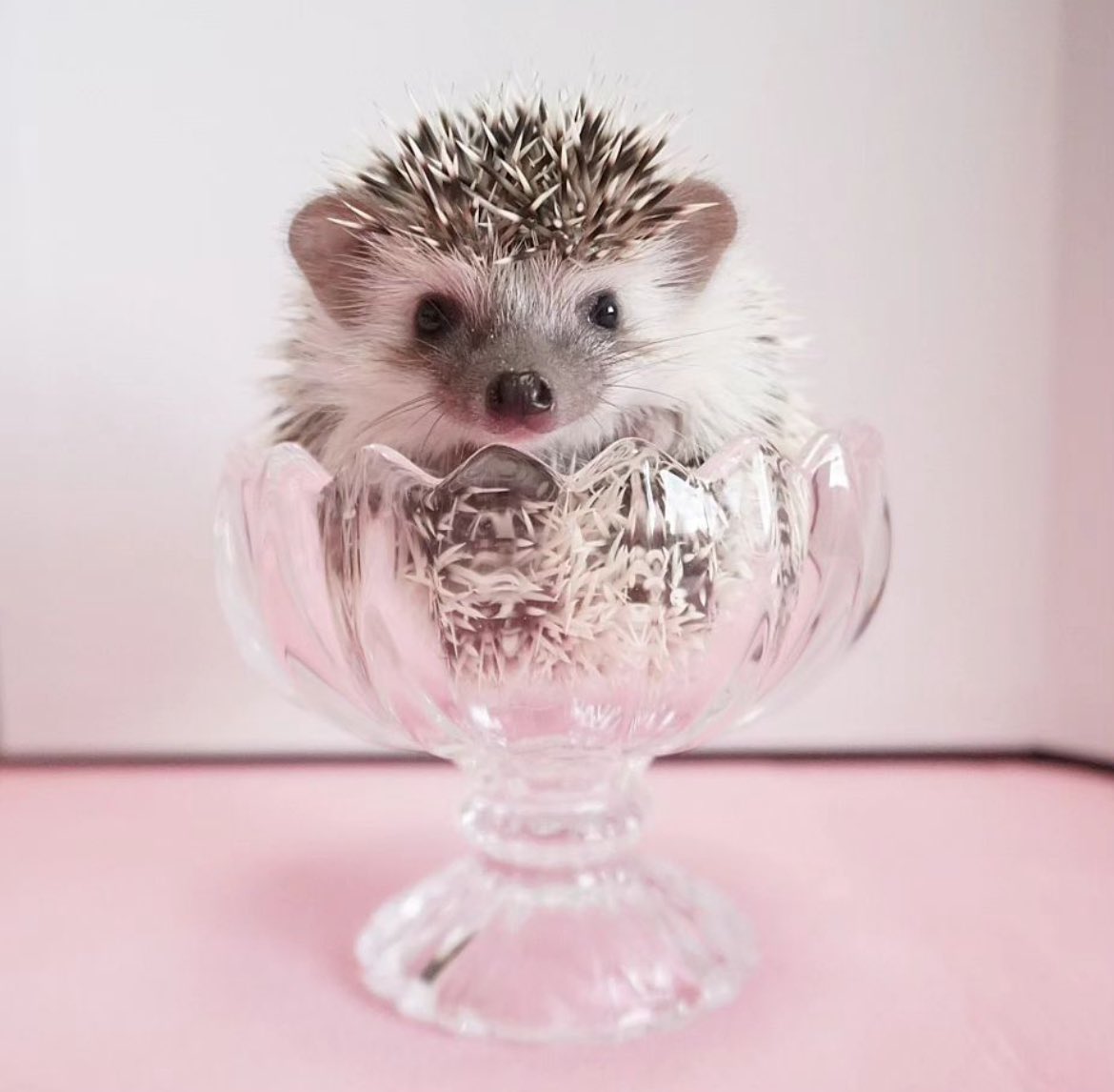 Sunday 10th March, 2024