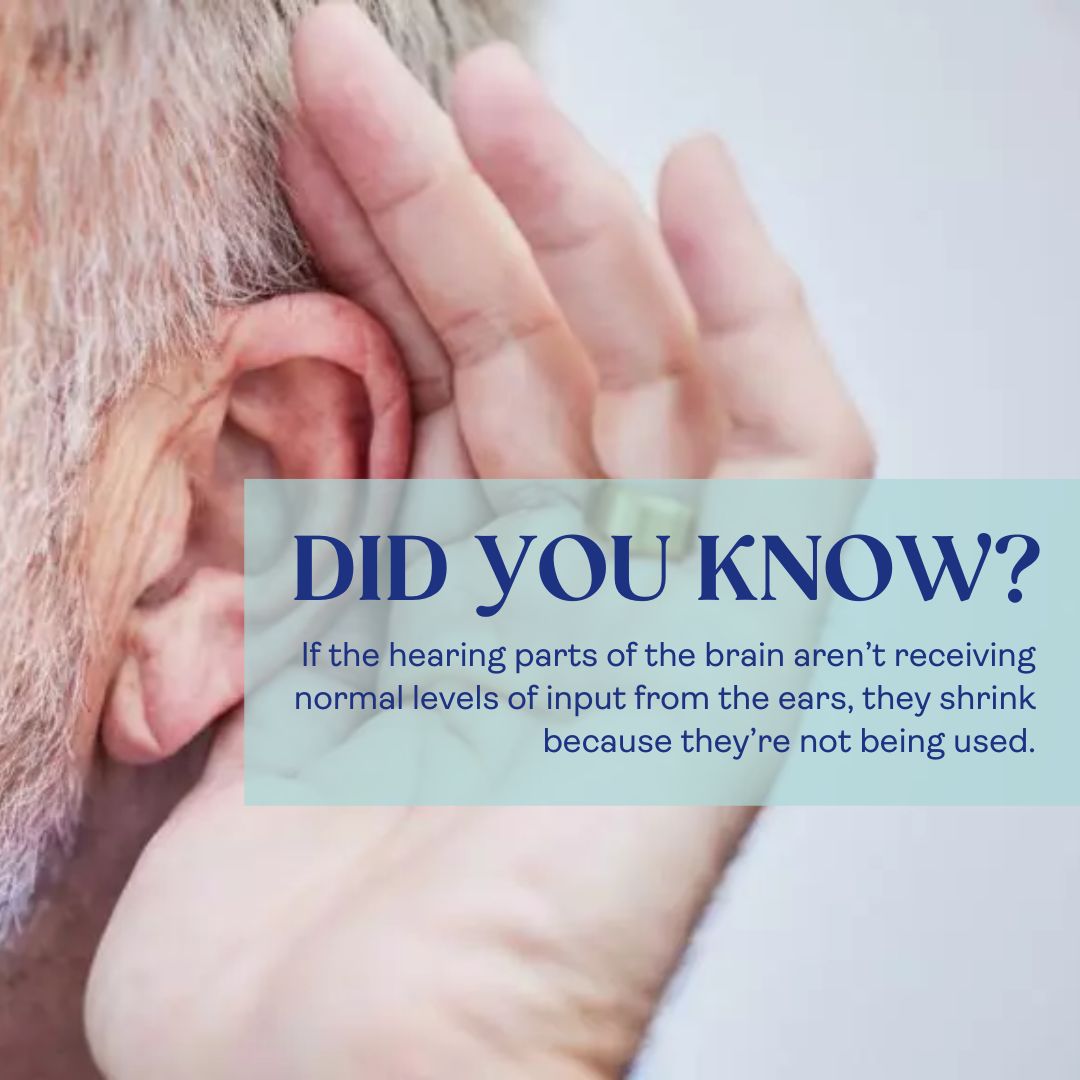 New research reveals tackling hearing loss could reduce our risk of dementia, yet just six per cent of us have had a hearing test in the past year. Find out how to minimise the risk: ow.ly/2qME50QKOLg #SagaMagazine #Saga #ExperienceIsEverything #hearingloss