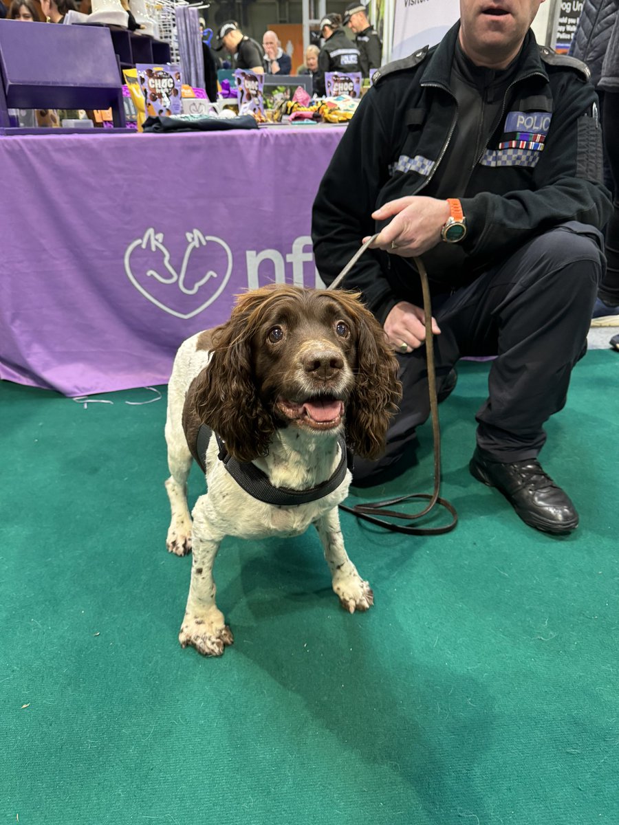 @SpanielNugget @Crufts @RetiredWMP_Dog @ACPippaMills @Chappers2013 We were so happy to see you Nugget. And to know you’re back to your normal self. Xxx