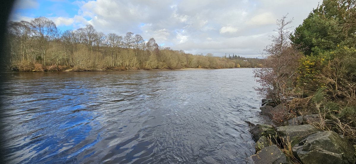 cromartyboard's tweet photo. With low water levels the last of  the salmon eggs have been stocked out in to the River Blackwater. Now the  hatchery is empty, the hatchery troughs and egg trays  were washed. Patrols looking for illegal fishing across the district have been increased. https://t.co/Aq3yT5wukV