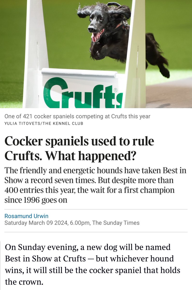 Tarka McSpaniel (@tarkamcspaniel) on Twitter photo It’s been taken over by the tripe eating wooferati, that’s what happened. #Crufts2024 #crufts It’s been taken over by the tripe eating wooferati, that’s what happened. #Crufts2024 #crufts