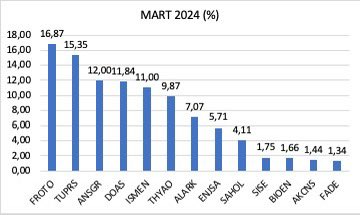 2024 Mart ayına ait portföy dağılımı aşağıda verilmiştir.