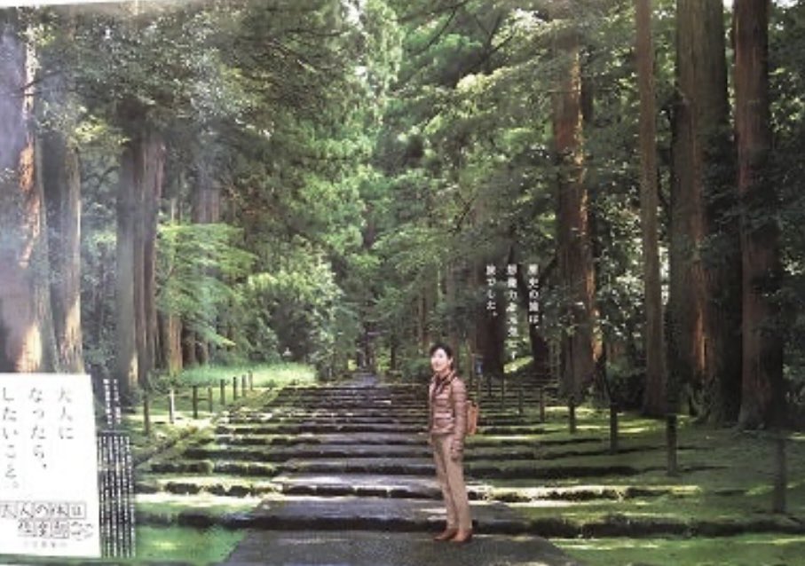 吉永小百合 特大ポスター 巨木の森◇大人の休日倶楽部 BO特大非売品