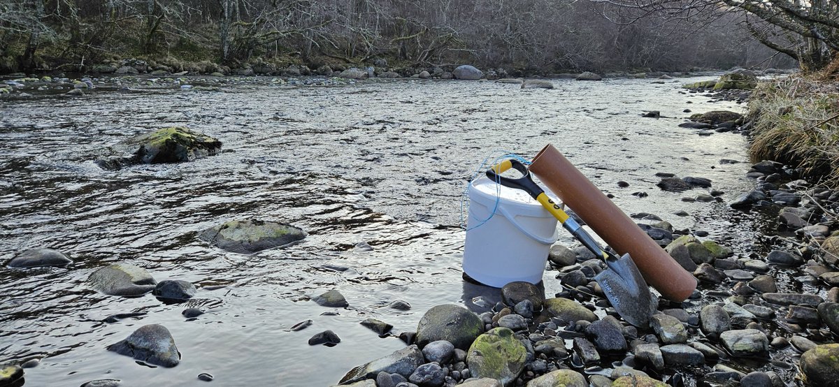 cromartyboard's tweet photo. With low water levels the last of  the salmon eggs have been stocked out in to the River Blackwater. Now the  hatchery is empty, the hatchery troughs and egg trays  were washed. Patrols looking for illegal fishing across the district have been increased. https://t.co/Aq3yT5wukV