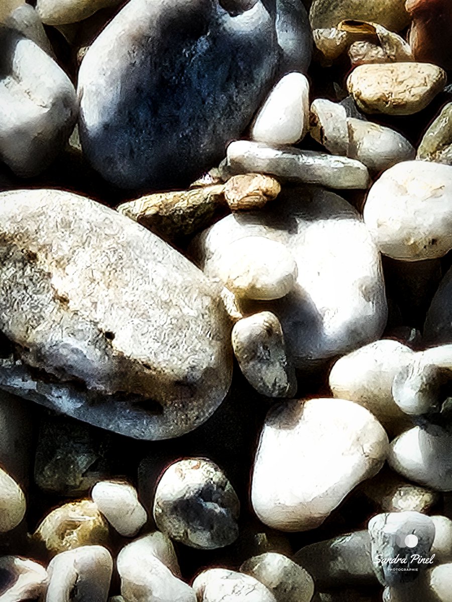Sandra_Pinel's tweet photo. « Se donner du mal pour les petites choses, c’est parvenir aux grandes, avec le temps. »
Samuel Beckett
#photo de #balade
#photographie #ocean #loireatlantique #mesquer https://t.co/IS5X2rZtEk