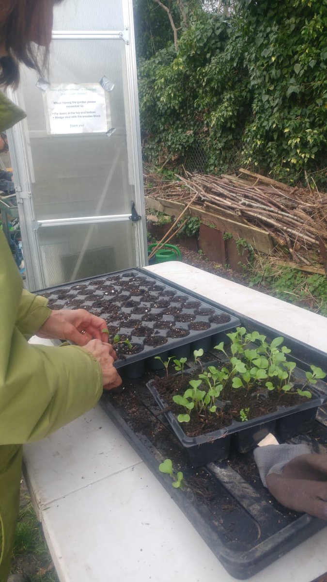 Springtime seed-sowing and potting starting up.