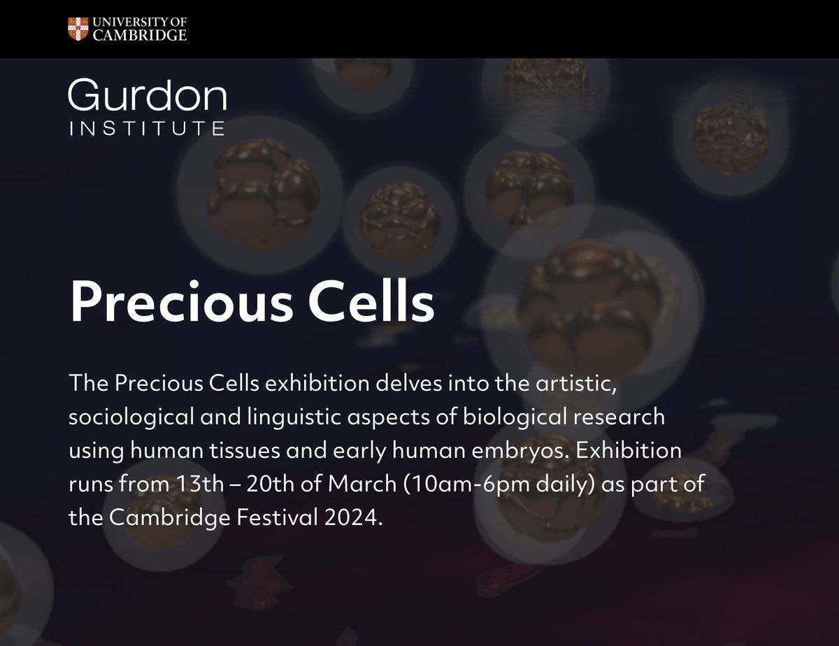 The Precious Cells exhibition delves into the artistic, sociological and linguistic aspects of biological research using human tissues and early human embryos. 13th – 20th of March (10am-6pm daily) as part of the the Cambridge Festival 2024. gurdon.cam.ac.uk/events/preciou…