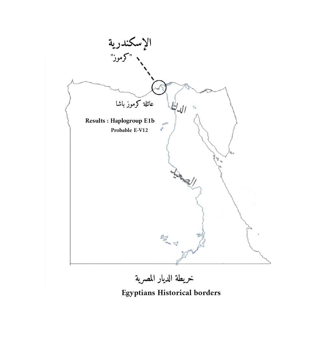 Abdulhady333's tweet photo. نتيجة جينية مزلزلة وجميلة

لحفيد أسرة كرموز باشا أحد كبار الإقطاعيين في الإسكندرية والمفروض ان الأصول "تركية".. لكن في النهاية خرجت السلالة E1b مع عدة ترجيحات أهمها للسلالة E-V12 صعيدية الإنتشار والأصل بحيث تصل 74% في بعض اقاليم الصعيد وهي فرع من E-M78

النتيجة هذه مهمة، وهي نتيجة أخونا العزيز @omarahmad8.. من أجدد نتائج البروجيكت