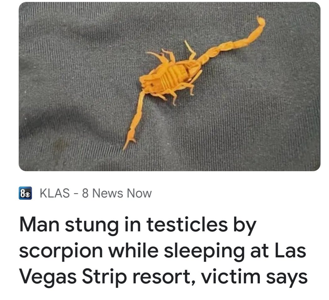 Zany Report Extra : Good News/Bad News- Bad News- Good- 10 thousand Bed Bugs took the Scorpion down! To matters worse, after seeing the resort fee, He felt like he was kicked in the nuts, Bay-Bee! @bobandtom @funnykeithlyle @The_ChrisMyers @FrankNicotero @BobZanyPodcast