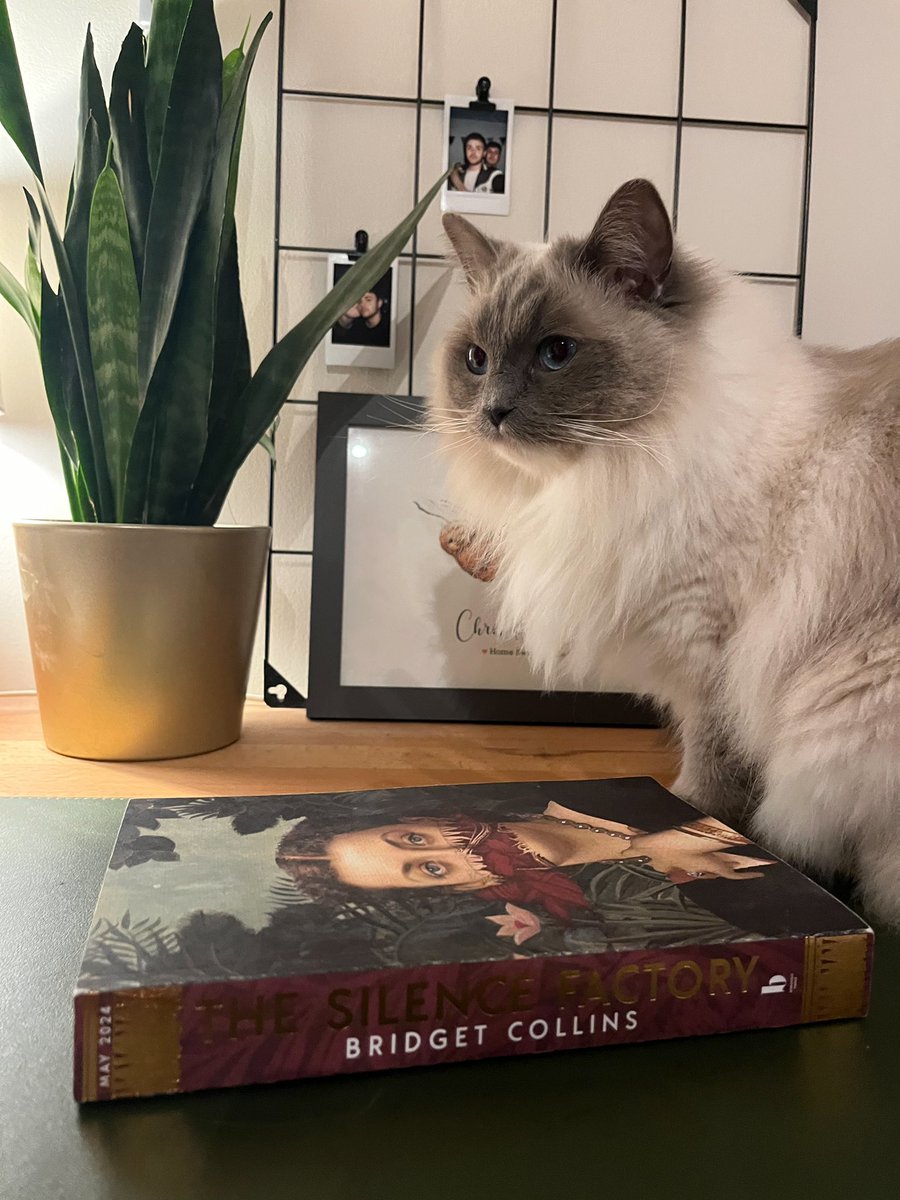 thank you so much @HarperInsider for an early copy of #TheSilenceFactory by @Br1dgetCollins!!! The Binding is my favourite book of all time and I absolutely cannot wait to dive into this one!!😁🫶🏻 (peaches approves too)
