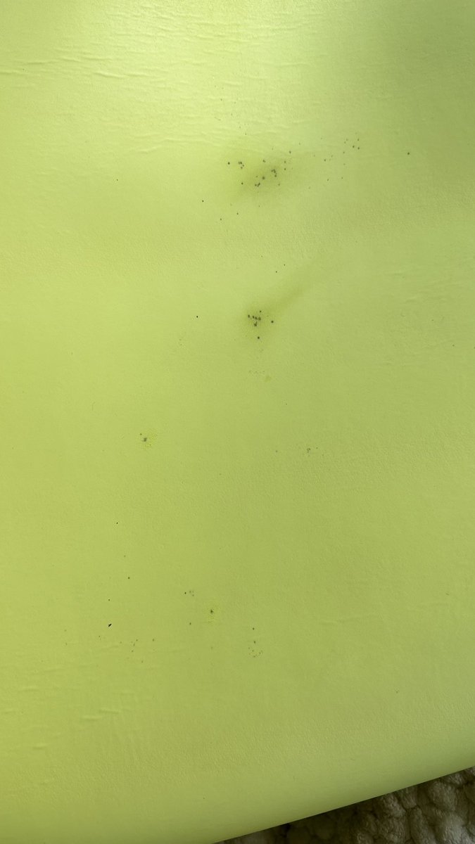 whisperingmilk's tweet photo. wow I love that my #antibacterial #aloyoga mat grew mold after one single use and wash. this is an awesome allegory for #persisting in the face of adversity ✊ https://t.co/JHrg3hmS5K