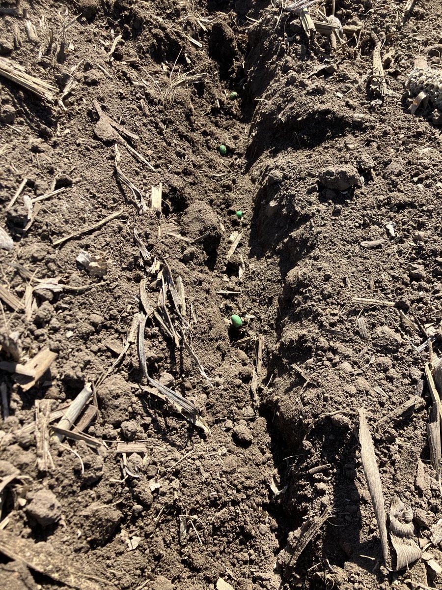 The green flag has dropped on the infamous Duncombe 500 today.  10 acres were planted of fully treated P25A16E’s to see what could happen.  Will add more soybeans to the field on a weekly basis through April for planting timing comparisons.  ⁦<a href="/PioneerSeeds/">Pioneer Seeds U.S.</a>⁩