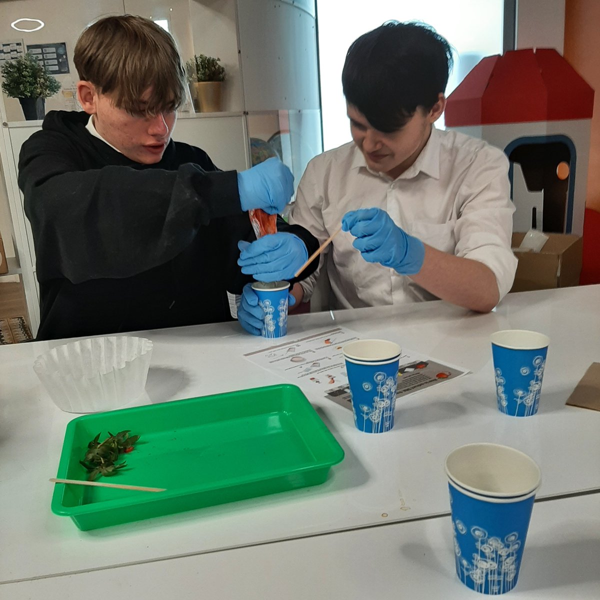KPSS_IntCentre's tweet photo. Our work with the Hub International has continued with a cooking lesson about shellfish and learning about the science of food. Thanks to Ella and Glasgow's Science Centre. https://t.co/pHvyZwmgjG