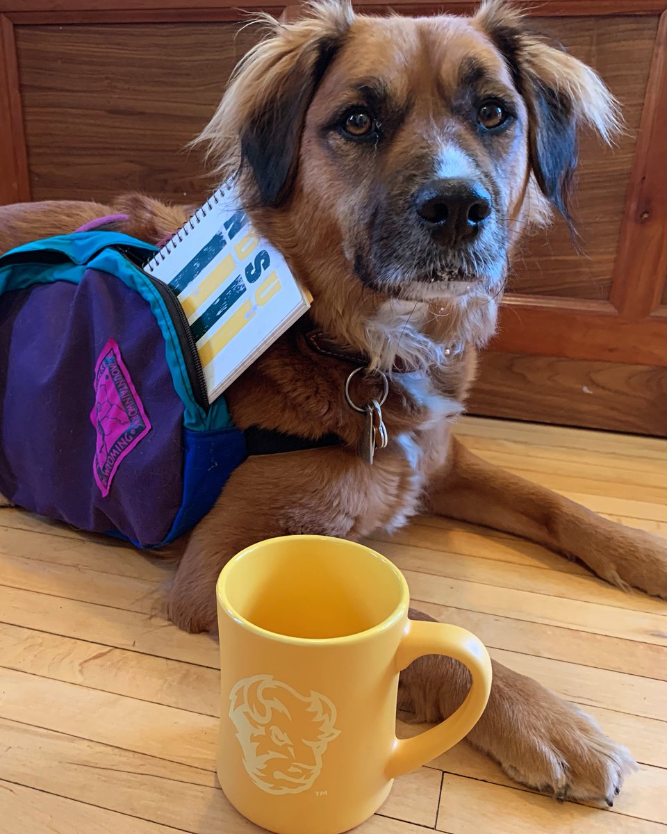 Anna J Finley, PhD tweet media