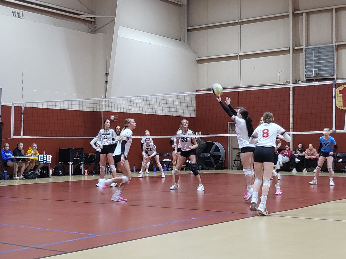 the6jakes's tweet photo. 15's Gold UNDEFEATED! https://t.co/3L2DumHgwi
