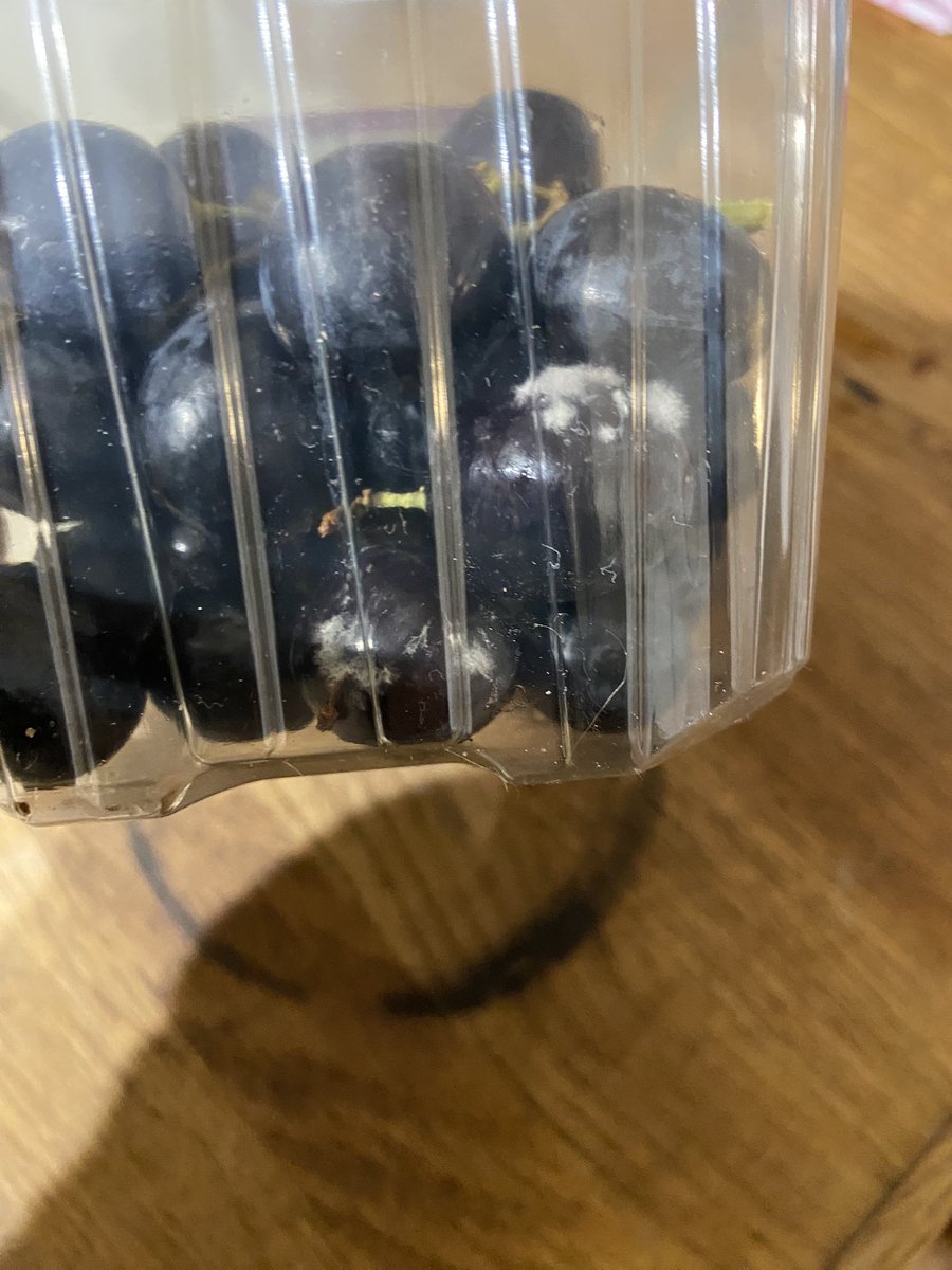 Alex Walker tweet media