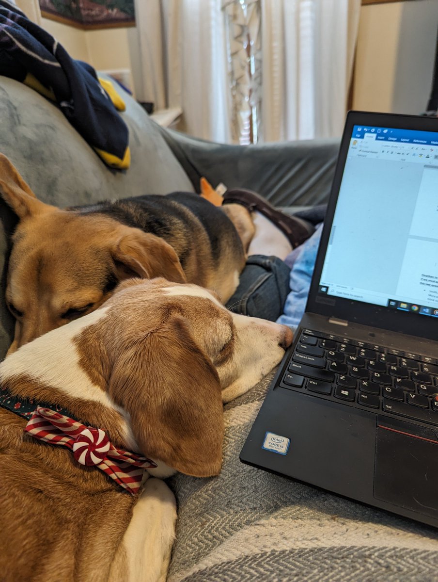 I don't always write 600 words in a day, but when I do, I prefer it to be with sleepy beagles.
#WritingCommunity #dogs