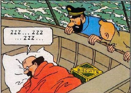 Anything for a couple of biscuits 🥮 What do you think the Professor is dreaming about? 

#tintindailyadventures #tintinadventures #tintincomicstrips #tintinfanart #hergé #herge #moulinsart #sausalitoferry #sausalito #art #history #professorcalculus #calculus #tintincomic