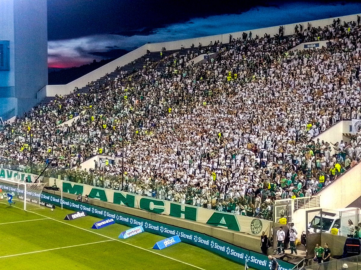 Puta foto 💚
<a href="/torcidamv83/">Mancha Alvi Verde</a>