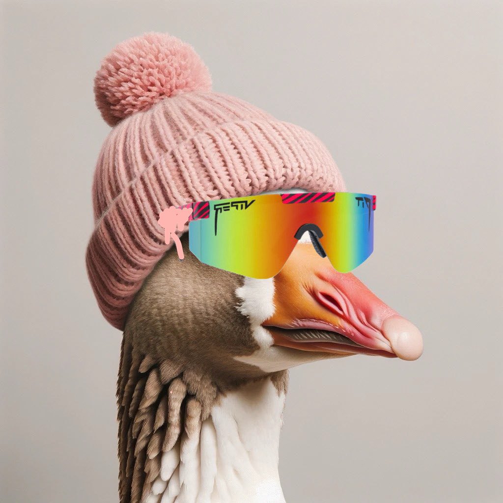 honk_sol's tweet photo. Feeling silly... 🪿 

#heywallet send 100 HONK to the first 150 retweets and comments $HONK https://t.co/hDBaeN8PbX