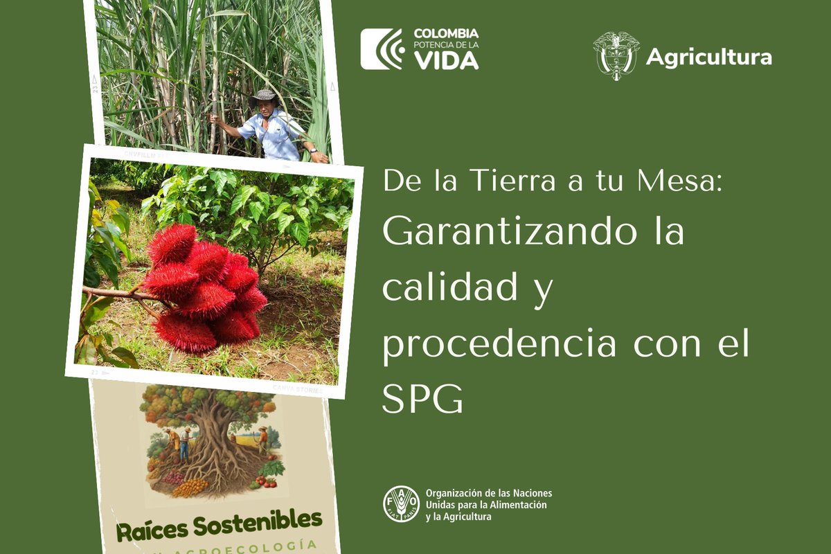 FAO_Colombia's tweet photo. 🌿 Apoya el Sistema Participativo de Garantía para promover una alimentación saludable y fortalecer la agricultura campesina.
Lee: https://t.co/CRHIaLHOn4

@MinAgricultura  @MiPutumayo @ConexPutumayo @Mocoa_News @jorgekuaran @putumayonoticia https://t.co/9VN7wvjgra