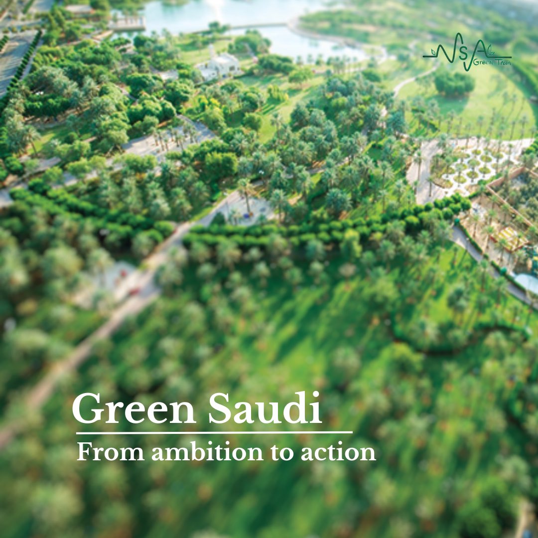 GreenTeamMSA's tweet photo. Small steps lead to big changes. The Kingdom of Saudi Arabia is setting a great example with their green initiatives. 🌱💡 #EnvironmentalProtection #GreenLeadership #Vision2030 #GreenRiyadh https://t.co/JXbP8JFcve