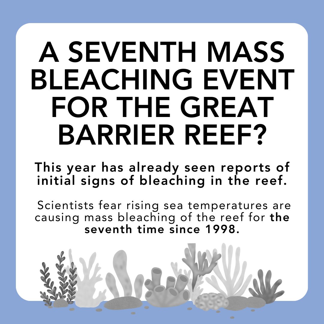 They might look like vegetation or rocks at first glance, but corals are actually marine invertebrates! Bleaching is a serious threat to coral reefs worldwide, but what is it and why does it happen in our oceans? #SeaWeek #MarineMonday #SaveOurReefs Image credit: Acropora
