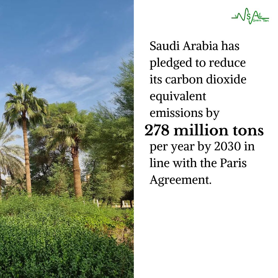GreenTeamMSA's tweet photo. https://t.co/0dE1CZVTcO
