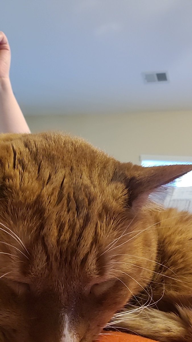 Rebecca Davis tweet media