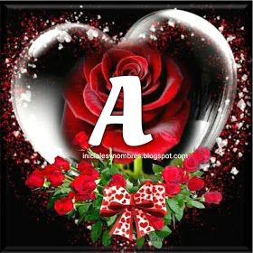 alaa amy tweet media
