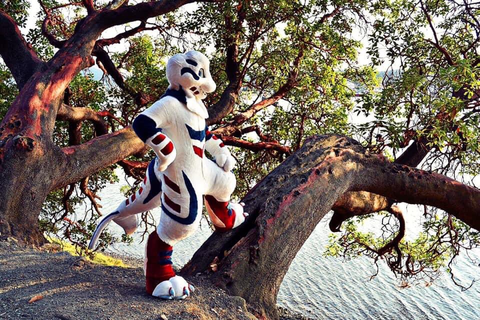 Happy #SkyproSunday from Naluark!🐳 Always put your best paw forward & do your best work. You never know how far it will go & who it may reach.💫 #furry #furries #fursuit #fursuits @Skyprocostumes