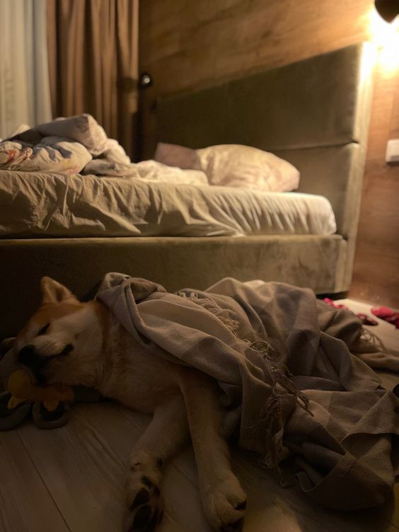 nullxandrew's tweet photo. sweet dreams, everyone.

good night! https://t.co/OFbOtMg0X8