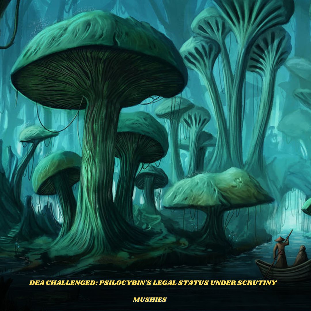 MushiesCanada's tweet photo. Federal appeals court orders DEA to justify psilocybin's Schedule I classification, raising questions about its lack of accepted medical use. Decision prompts scrutiny of Controlled Substances Act criteria. #Psilocybin #DEA #LegalChallenge https://t.co/1mE87keJz1
