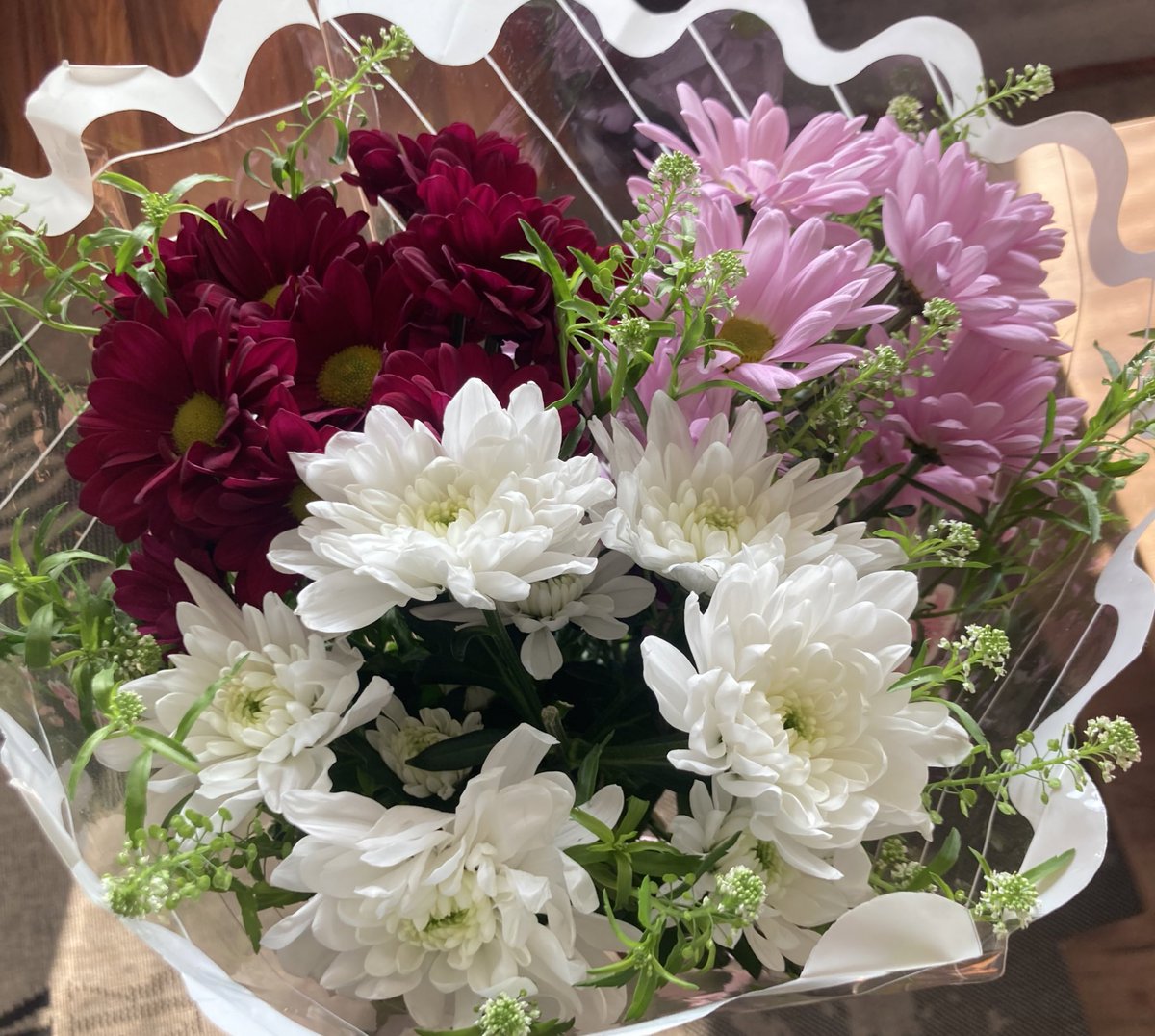 GHOST IN THE SHELL tweet media