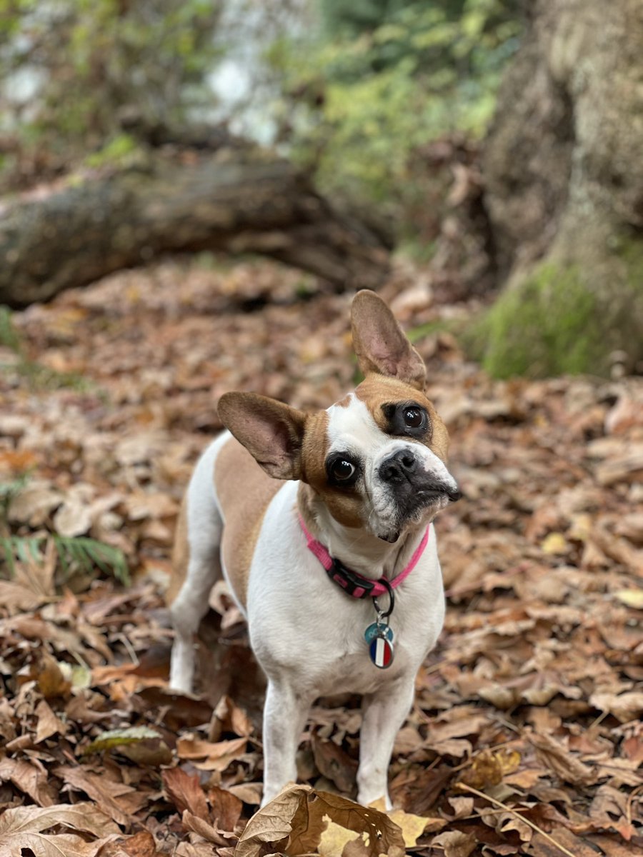 Fun Sunday in the park🎉