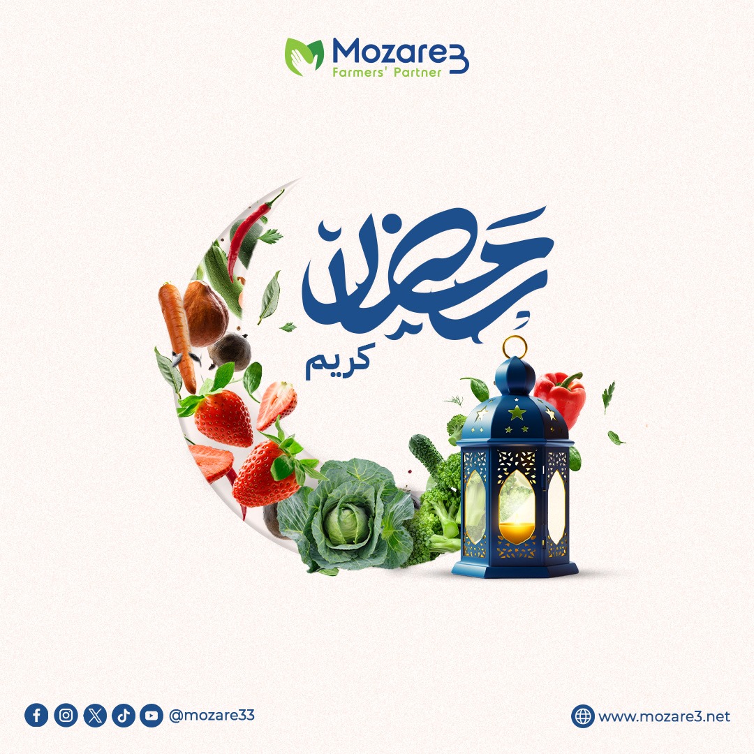 Mozare3 tweet media