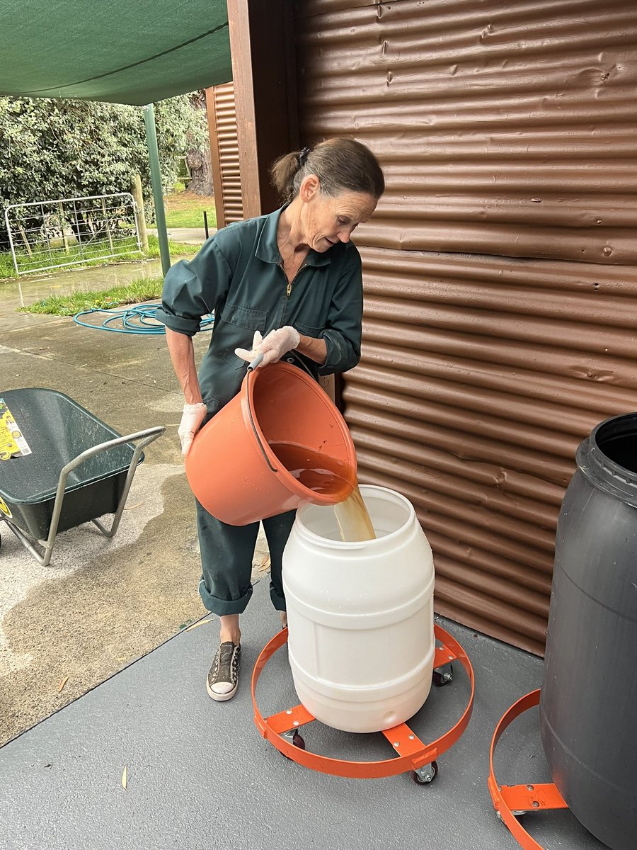 Trevor_FJ's tweet image. Filling barrels with the freshly pressed pear juice . The aroma is fantastic. 125 litres pressed this year. Our best harvest in terms of quality, sugar content and flavour. #perry #pearcider #pearjuice