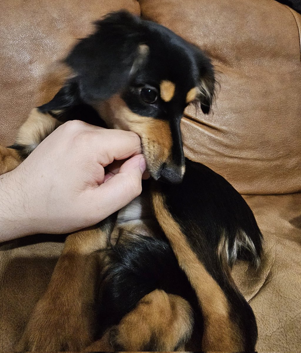 She thinks she's vicious 🤣