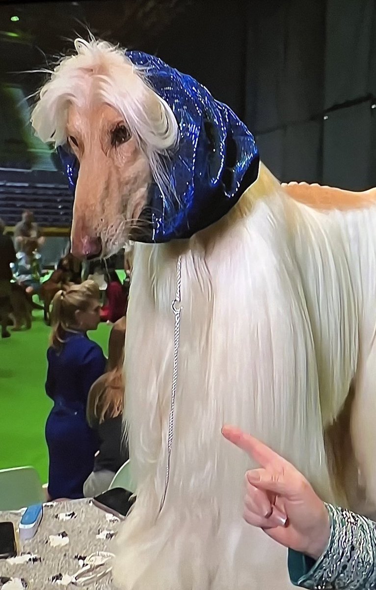 Niall Power tweet media