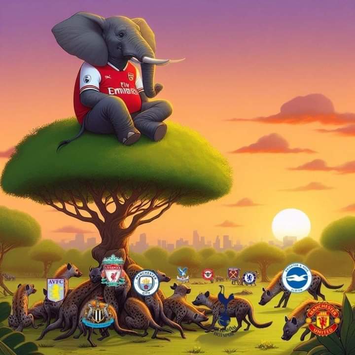TheFugi3's tweet photo. Arsenal,The elephant is back on the tree 🤩 https://t.co/mDCznriRw9