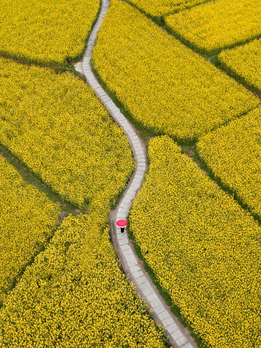 DJIGlobal's tweet image. Lead the way 
📷 Albert Chang
#mini3pro #skypixel