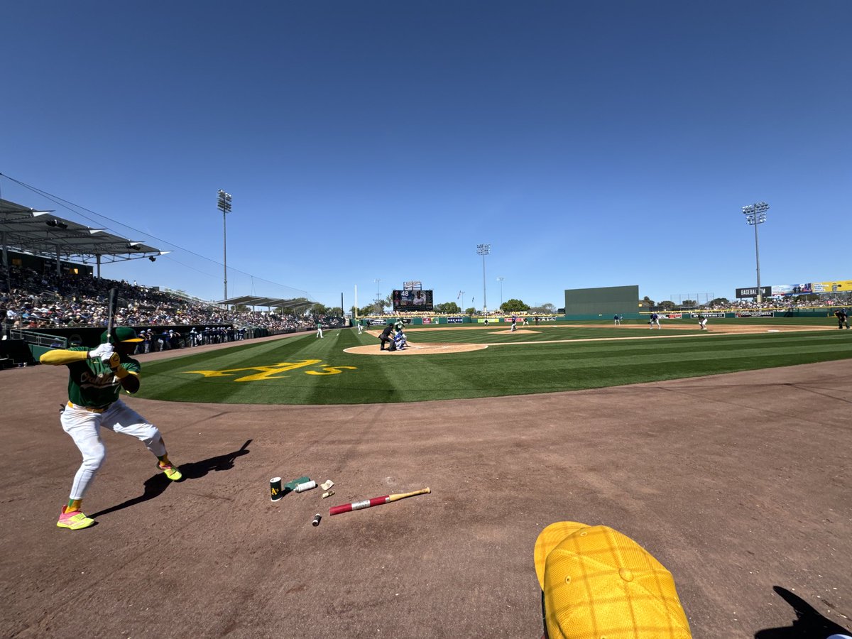 DaveKaval's tweet image. Ducks 🦆 on the pond ⁦@Athletics⁩