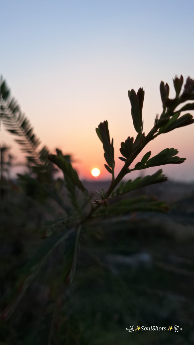 Chaand se roshan ho ramzaan tumhara,
Ibadat se bhara ho roza tumhara

Har roza aur namaaz qubool ho tumhari
Bas yahi dua hai khuda se hamari.