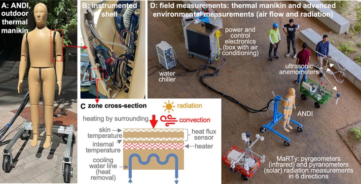 First big paper with @ASUThermalAndi 🔥 > NEW method to characterize outdoor human extreme heat exposure using an outdoor thermal manikin. > ANDI is paired with 12 radiometers & 3D anemometers > ANDI measures convection & radiation on 35 body zones. 👇 doi.org/10.1016/j.scit…