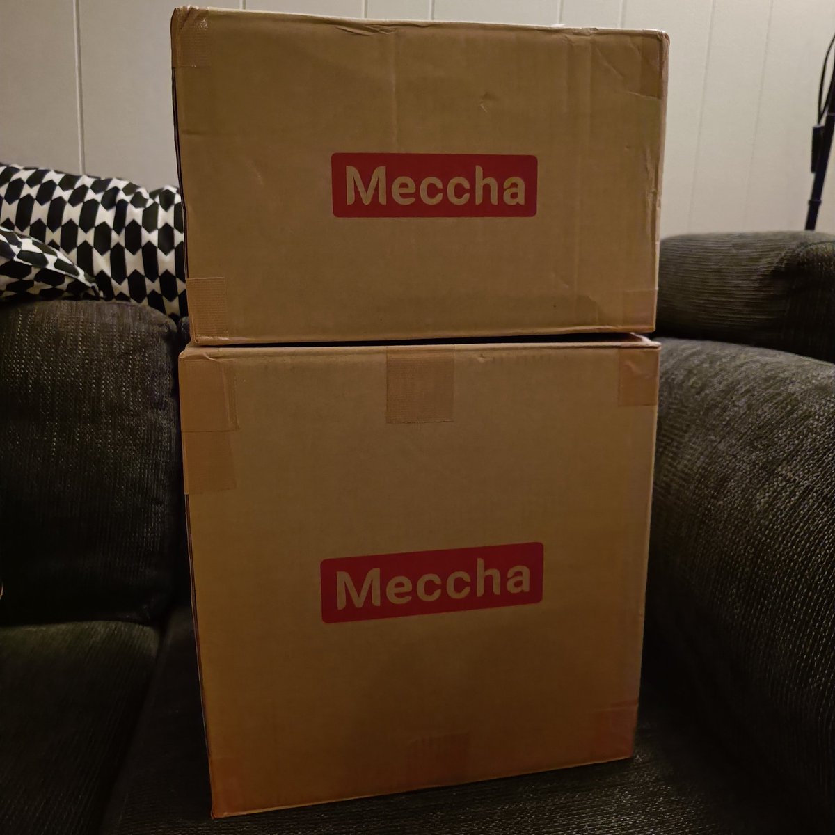 Chiko_Charm's tweet image. Two Meccha orders arrived, one containing  fuwafuwa #Clodsire #Greavard and #Mabostiff I've waited MONTHS for through surface shipping, and another super soft Clodsire from #PokemonCenter ✨ Got a tiny little extra teddy too in my order for some reason 😅